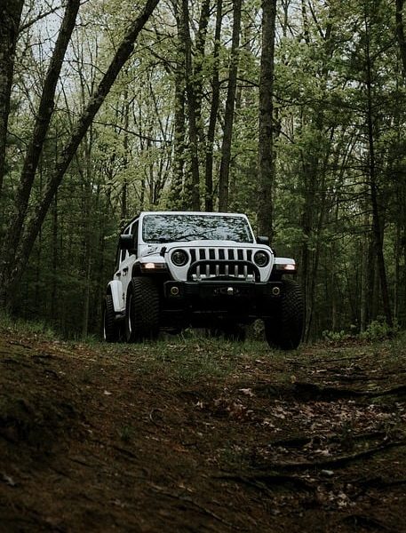 4x4-truck-640x480-74877875.jpeg