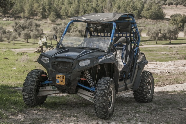 4x4-truck-640x480-17368014.jpeg