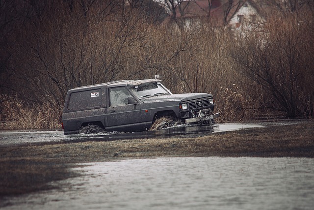 4x4-truck-640x480-5041758.jpeg