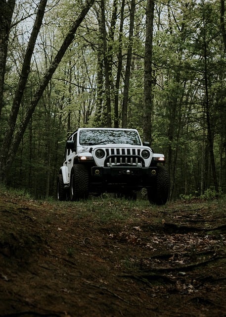 4x4-truck-640x480-61379850.jpeg