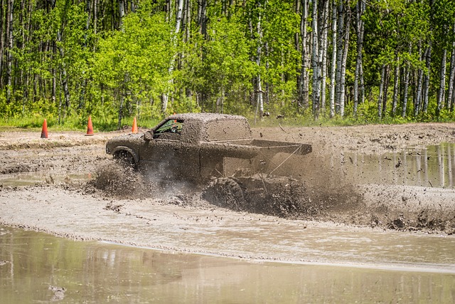 4x4-truck-640x480-39427042.jpeg