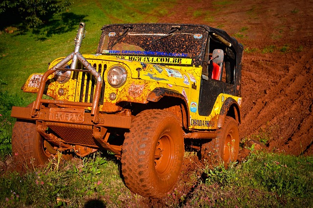 4x4-truck-640x480-49513115.jpeg