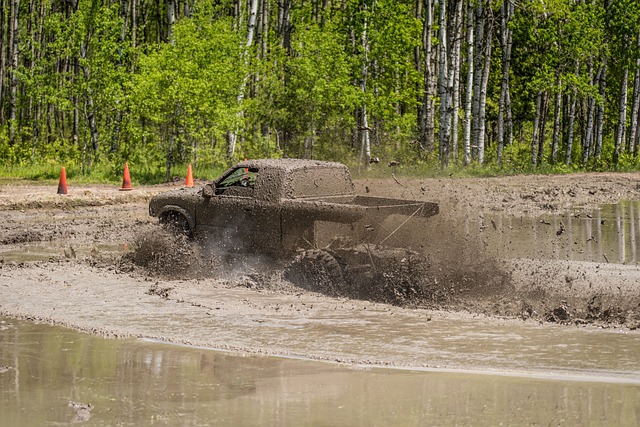 4x4-truck-640x480-74515485.jpeg