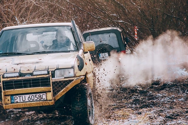 4x4-truck-640x480-98176655.jpeg